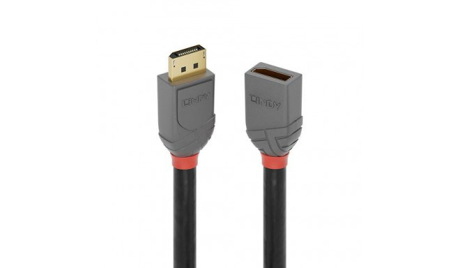 Lindy 1m DisplayPort 1.4 Extension Cable, Anthra Line
