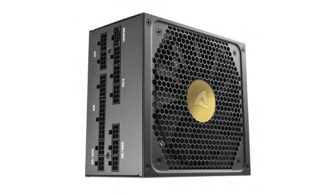 Sharkoon Rebel P30 Gold power supply unit 1000 W 20+4 pin ATX ATX Black