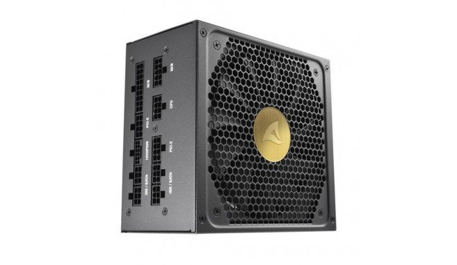 Sharkoon Rebel P30 Gold power supply unit 850 W 20+4 pin ATX ATX Black