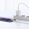 Baseus Super Si Smartphone White AC Fast charging Indoor