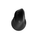 NATEC CRAKE 2 mouse Office Left-hand Bluetooth Optical 2400 DPI