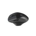 NATEC BlackBird 2 mouse Ambidextrous Office RF Wireless IR LED 1600 DPI