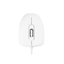 Modecom MC-M10 mouse Office Ambidextrous USB Type-A Optical 1000 DPI