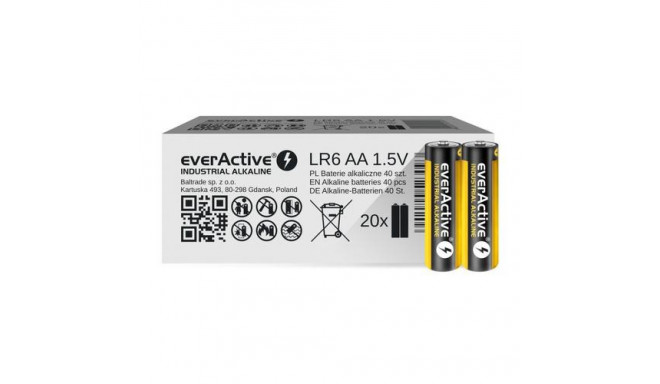 Everactive EVLR6S2IK household battery Single-use battery AA Alkaline