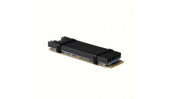 Axagon CLR-M2L6 computer cooling system M.2 NVMe SSD, Solid-state drive Heatsink/Radiatior Black 1 p