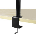 ARCTIC Z1 Basic - Desk Mount Monitor Arm