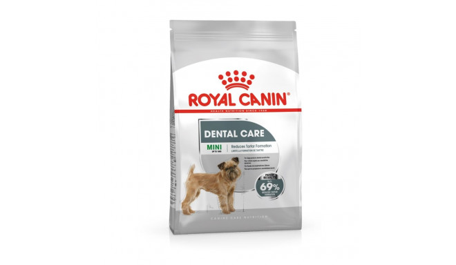 ROYAL CANIN CCN Mini Dental Care - dry food for adult dogs - 3kg