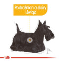 ROYAL CANIN Mini Dermacomfort -  dry food for adult small breeds of dogs with sensitive skin prone t
