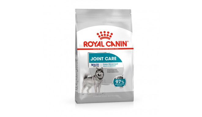 Royal Canin Maxi Joint Care - dry food for an adult dog - 10 kg