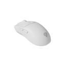 GENESIS Zircon 500 mouse Gaming Right-hand RF Wireless + Bluetooth + USB Type-C Optical 10000 DPI