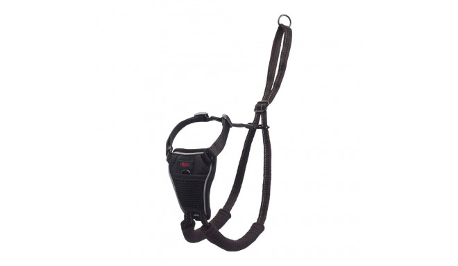 Suņu drošības siksna Company of Animals Halti S Izmērs (26-36 cm)