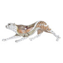 Dekoratīvās figūriņas DKD Home Decor Balts Daudzkrāsains Oranžs Balts/Oranžs Leoparda Koloniāls 30 x