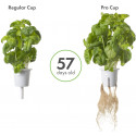 Click & Grow Pro Plant Cups 9tk