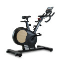 Velotrenažöör BH FITNESS Xcalibur Magnetic