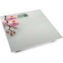 Esperanza Orchid EBS010 Bathroom Scale