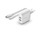 Портативное зарядное устройство Belkin WCE001VF1MWH