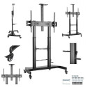 TV SET ACC FLOOR STAND 60-100"/TVS-100T-02 GEMBIRD