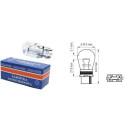 Car bulb 12V 21W T20