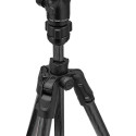 Manfrotto tripod kit MKBFRTC4GTFB-3W Befree GT PRO 3-Way FB