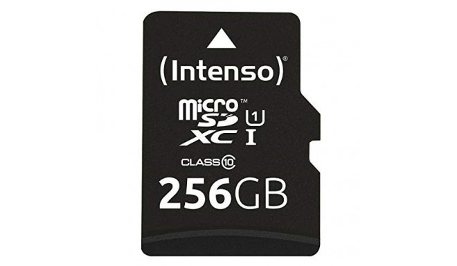 SD MicroSD mälukaart 256GB Intenso SDXC UHS-I Class10