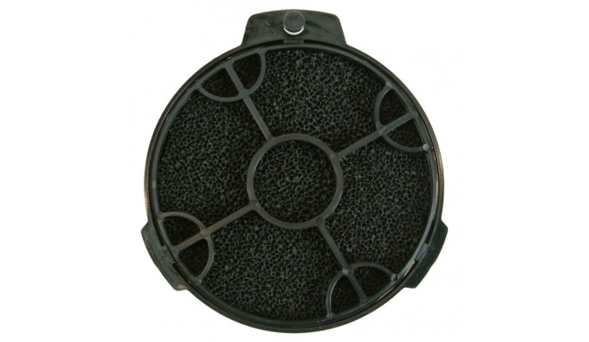 Carbon filter