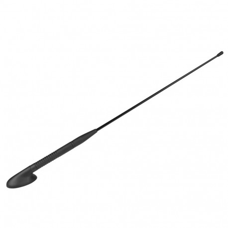 22-645# passiivne Fordi katuse autoantenn mastiga