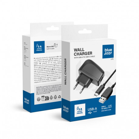 Phone charger Blue Star Lite USB A 2A 10W + cable USB A to USB C TFK-TC-1095B black