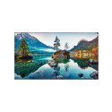 Vestel WU49B/2H video wall display DLED Indoor