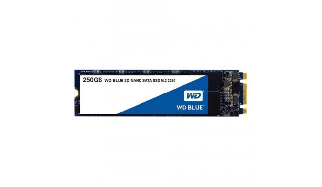 Western Digital Blue 3D 250 GB M.2