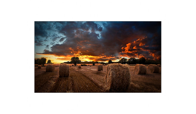 Samsung VM55B-U LED Indoor