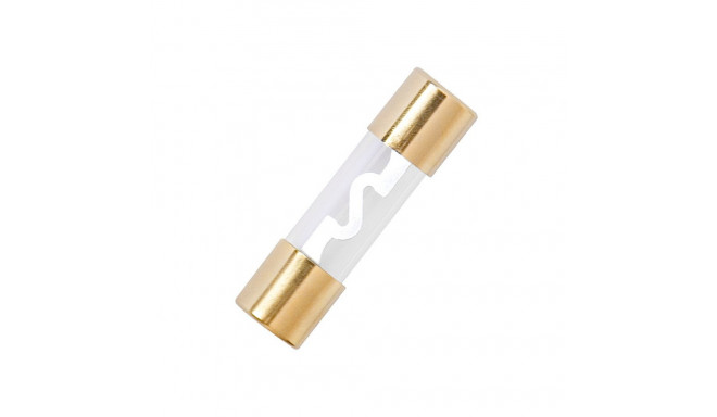 2893# auto klaasist kaitse 70a 10,3x38mm (5 tk.)