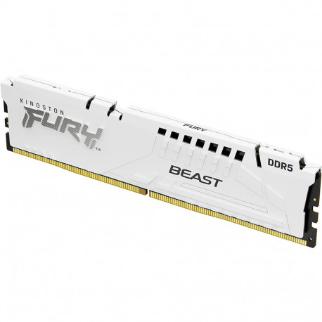 DIMM-mälumoodul KF556C36BWE-32 32GB DDR5-5600 FURY Beast AMD EXPO, valge