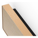Bang &amp; Olufsen BeoSound Stage Beige, Gold 550 W