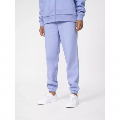 4F naiste dressipüksid W 4FSS23TTROF148-52S (XL)