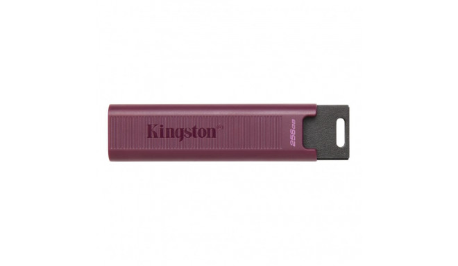 Kingston USB 3.2 Flash Drive DataTraveler MAX 256 GB, USB 3.2