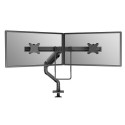 Neomounts desk monitor arm