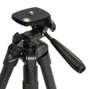 D-Fruit tripod 205 + phone adapter M