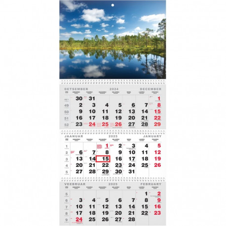 Wall calendar TRIO MAXI no.1 00370/40521