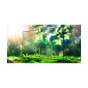 65-tolline IPS UHD 500cd/m2 1.100:1 WebOS kõlariga ekraan