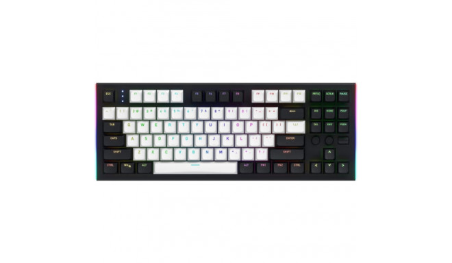 Hator HTK560US Gravity TKL Wired gaming keyboard ENG