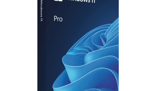 MS WINDOWS 11 PRO, 64-BIT, OEM, ENG