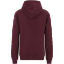 Bluza męska Fila Brunssum burgundowa FAU0145 40107 M