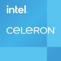 Intel Celeron G6900 protsessor 3.4 GHz 4 MB Smart Cache karp