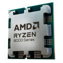 AMD Ryzen™ 5 8600G tray - protsessor