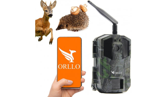 Fotopułapka GSM ORLLO Huntercam 3