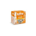 Tee LOYD ingveri- ja tsitrusemaitseline 20 x 2g