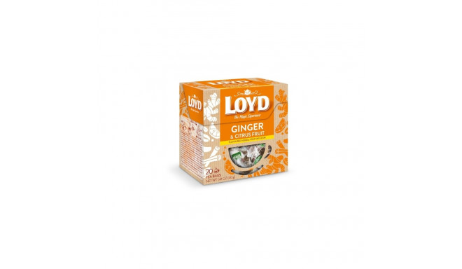 Tee LOYD ingveri- ja tsitrusemaitseline 20 x 2g
