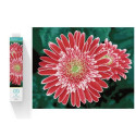 Diamond Embroidery Diamond Dotz Diamond Mosaic Gerbera Pink 58x48cm DQ10001