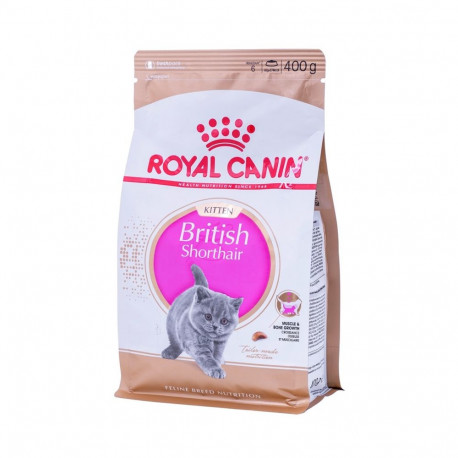 ROYAL CANIN British Shorthair kassipoegade kuiv kassitoit 400g