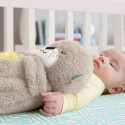 Fisher-Price Soothe 'N Snuggle Otter